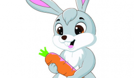 兔子动漫,萌动时光，治愈系动画的奇幻之旅