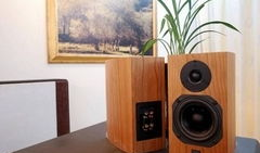 国产精品书架音箱,音质卓越，品味生活新境界