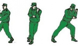 擒敌拳十六动教学视频,动作要领与实战技巧解析